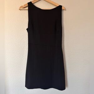 Aritzia Babaton Spectre Dress